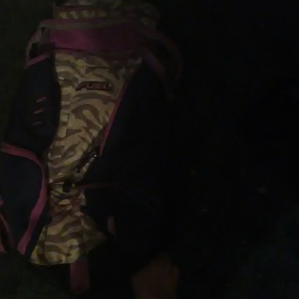 Backpack - Picture 3 of 3